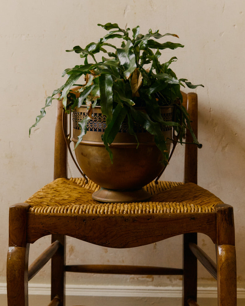 Early 20th-Century Copper Plant Pot with Pierced Gallery image 1